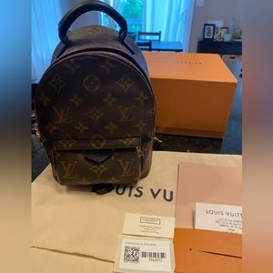 ✨Louis Vuitton Palm Springs Mini Bag/Backpack ✨